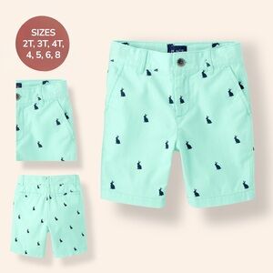 The Children’s Place Boys Mint Green Bunny Print Shorts – Sizes 2T–8